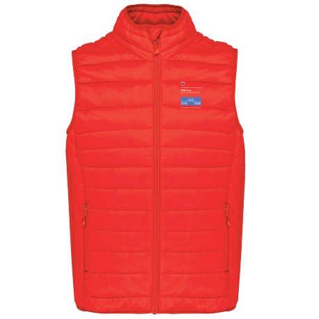 Bodywarmer Homme BMW Z HDF