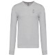 Pull col V Homme Armorique