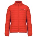 Collection Homme
