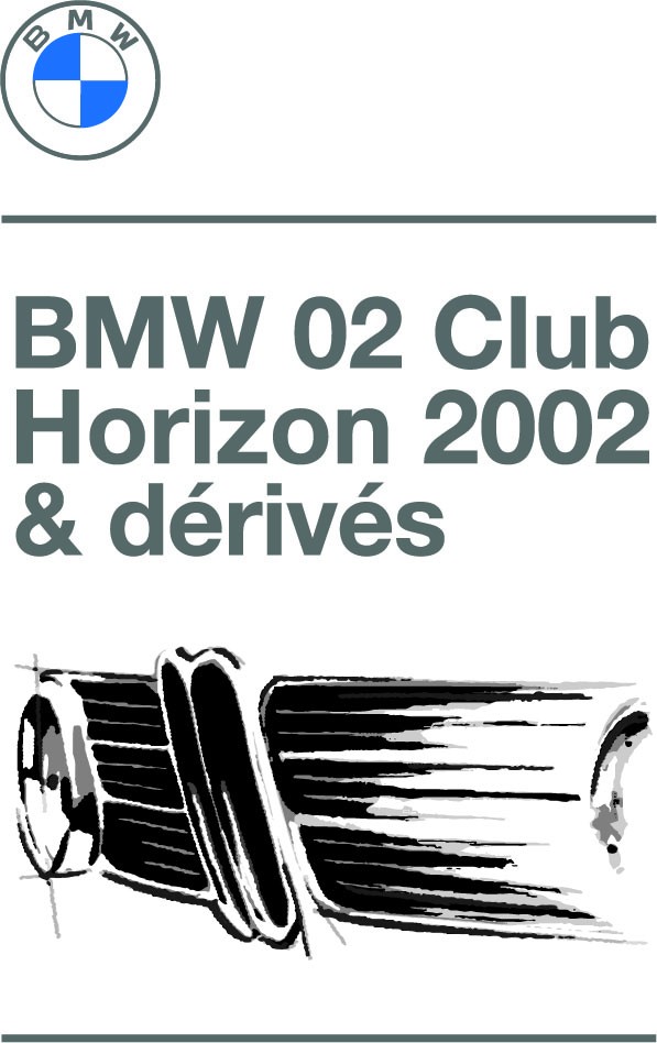 BMW logo Horizon